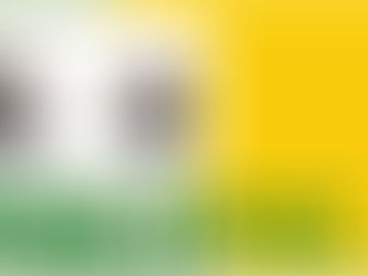 Em evento sobre o 8 de Janeiro, Lula veta integralmente PL que reduz penas de Bolsonaro e condenados por atos golpistas