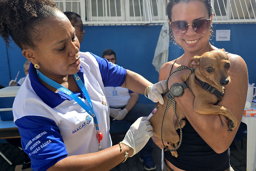 Vacinação antirrábica começa dia 13 de maio em Macaé 