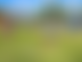 Copa do Brasil Sub-20: Fla enfrenta o Atlético-MG, fora de casa