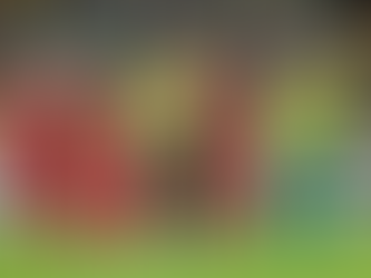 Flamengo x Cuiabá: onde assistir, escalações e arbitragem