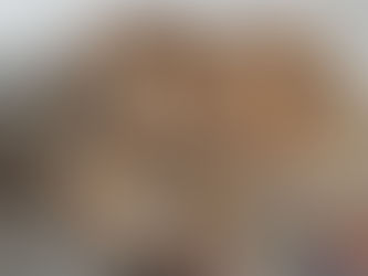 Feira de Adoção Animal será realizada nesta quinta, dia 24, em Rio das Ostras