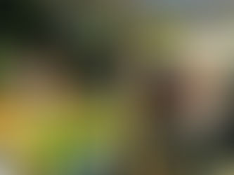 “Choro de Maria” marca o Dia Nacional do Chorinho em Rio das Ostras