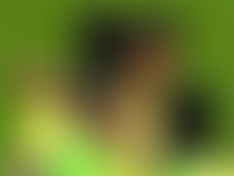 Brasil faz excelente partida e goleia a Coreia do Sul por 5 a 0