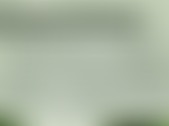 Corredor Ecológico garante a Macaé maior programa de reflorestamento do Estado