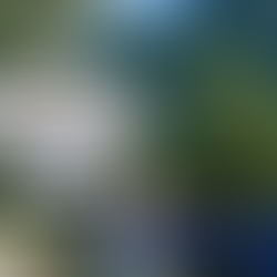 Feira “Sabores de Córrego do Ouro” encanta público com gastronomia e cultura em clima bucólico na serra macaense