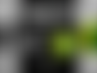 Botafogo x Mirassol: onde assistir ao vivo, horário e escalações do jogo pelo Brasileirão