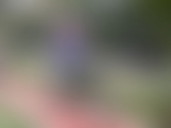 Schwarzenegger retorna a São Paulo para sua feira e animado para pedalar pela cidade