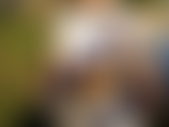 Barra de São João se prepara para o 29° Festival de Crustáceos e Frutos do Mar