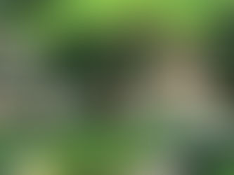 Prefeitura de Trajano dará início à campanha de renegociação de dívidas municipais