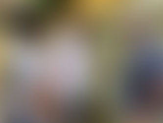 Aedes: isolamento pode ser oportunidade de cuidados com o lar