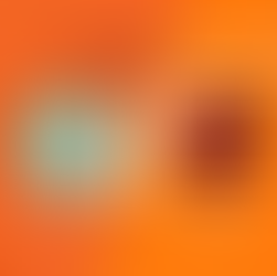 Palmeiras x Flamengo (Feminino): onde assistir, escalações e arbitragem