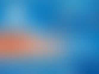 Macaíba: governo amplia rede de comércio credenciado