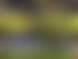 Brasil se supera para conquistar o Sul-Americano Sub-20