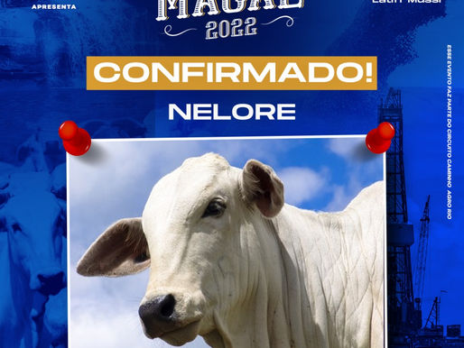 Concurso Leiteiro, cavalos Campolina e gado Nelore estão na Expo