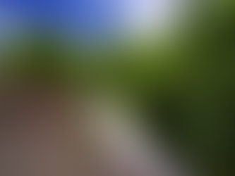 Bancos de dados facilitarão que setor privado financie projetos de organizações ambientais de Macaé