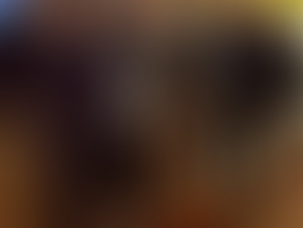 Sócio fundador do Grupo A12+ participa de jantar promovido pelo Clube da Bolinha do Paraná