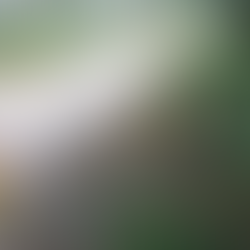 Saúde GovRJ alerta para os riscos à saúde após temporais