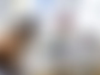 Macaé oferece laboratório veterinário gratuito