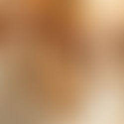 Dia do Consumidor mobiliza comércio e exige planejamento de lojistas na Região