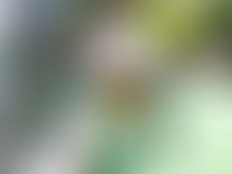 Pré-inscrição para contratação de agentes em Macaé termina nesta quarta