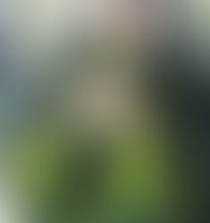 Les carnets de l'apothicaire 7