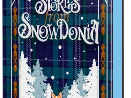 Stories from Snowdonia