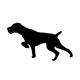 Untitled design.png