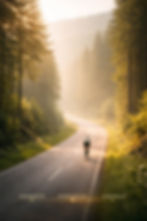 Newsletter Fahrrad.jpg