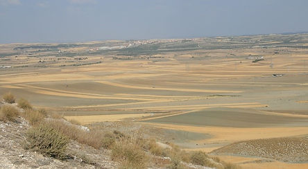 Estepa de Toledo