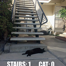 I try again after naps