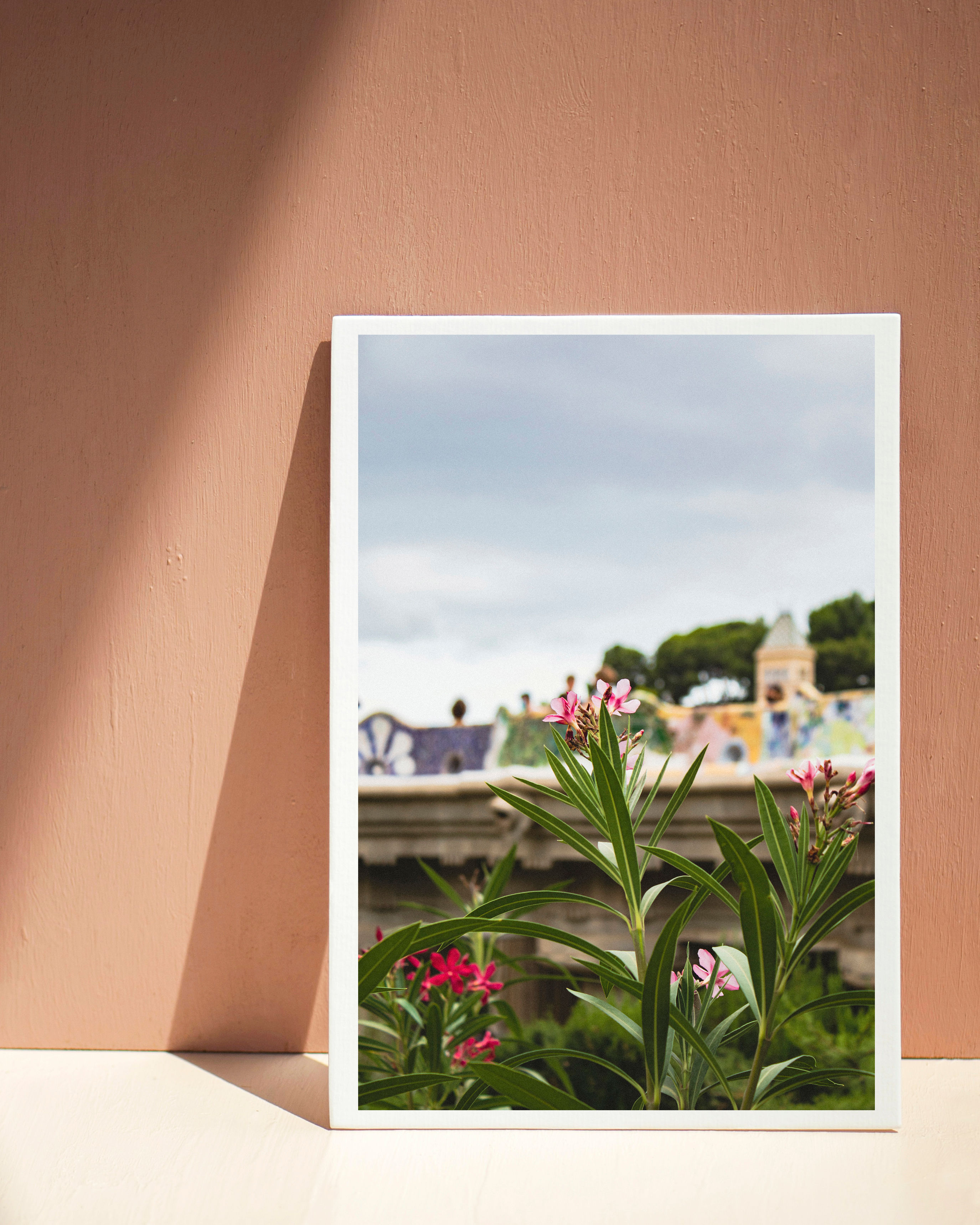 Flora001