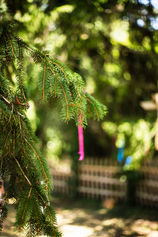 mariage_sarah_royer_photographe_sarahroyerphotographe