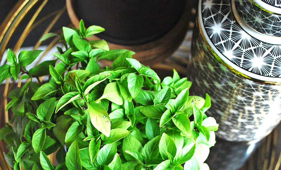 UNiON Interiors and Styling by Jennie Celba - Teddington, SW London TW11