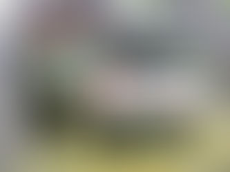 Mercedes E200 Car Speakers upgraded to Rebec Car Audio - with Auto Edition | Singapore