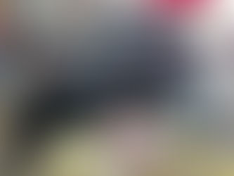 BMW 1 series 116i Car Dash Camera - IROAD FX2 Pro front & rear installed Singapore | Auto Edition