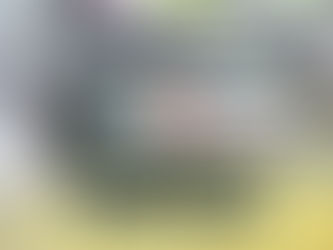 BYD Seal 6 - Car Speakers upgraded to Rebec Car Audio | Plug & Play Audio upgrade with Auto Edition Singapore