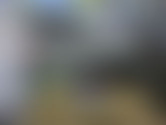 BMW 630i Car Dash Camera - IROAD QX2 front & rear installed Singapore | Auto Edition