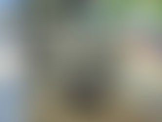 Suzuki Every Car Android Radio Player upgraded - with Auto Edition | Singapore