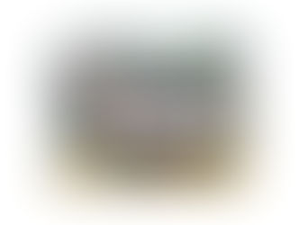 Audi A4 - Car Speakers upgraded to Rebec Car Audio - with Auto Edition | Singapore