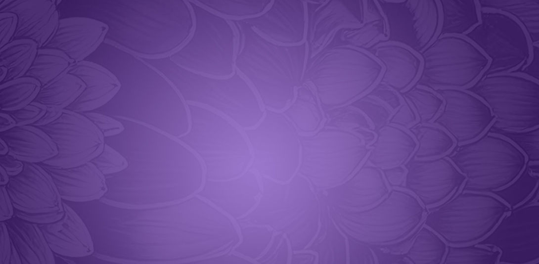 Website Hero Background 2.jpg