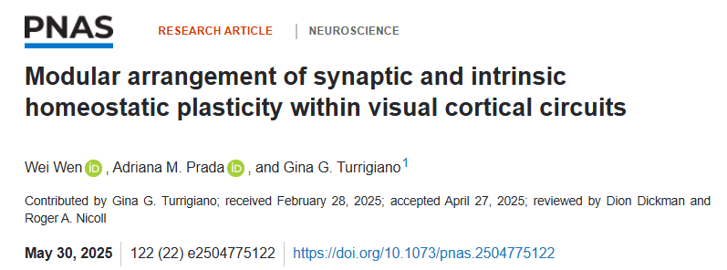 New publication alert! 