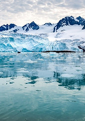 Artic