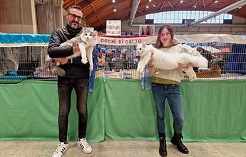 fabri in expo