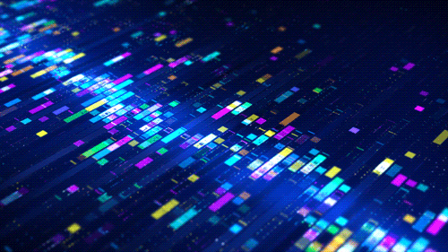 GIF-3.gif