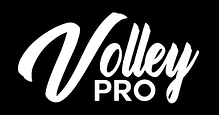 Untitled design (27).png