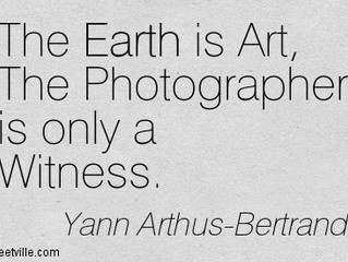 Photography Insight