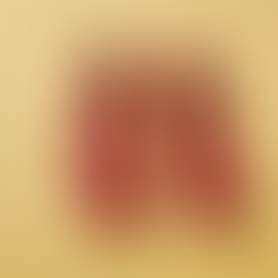 5 dicas para escolher a sapatilha perfeita