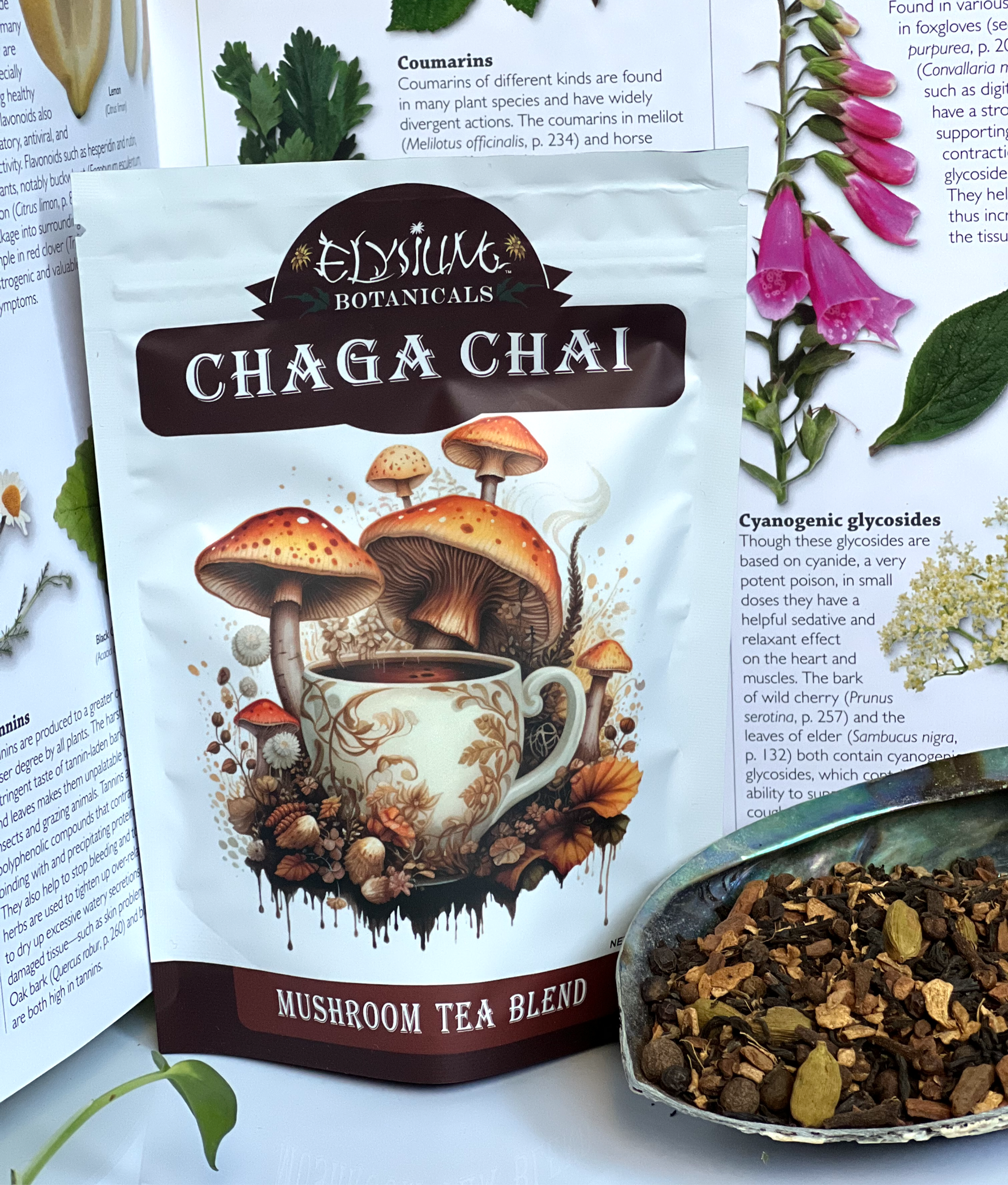 Chaga Chai