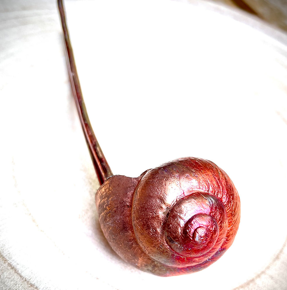 Thumbnail: red snail shell copper hair fork