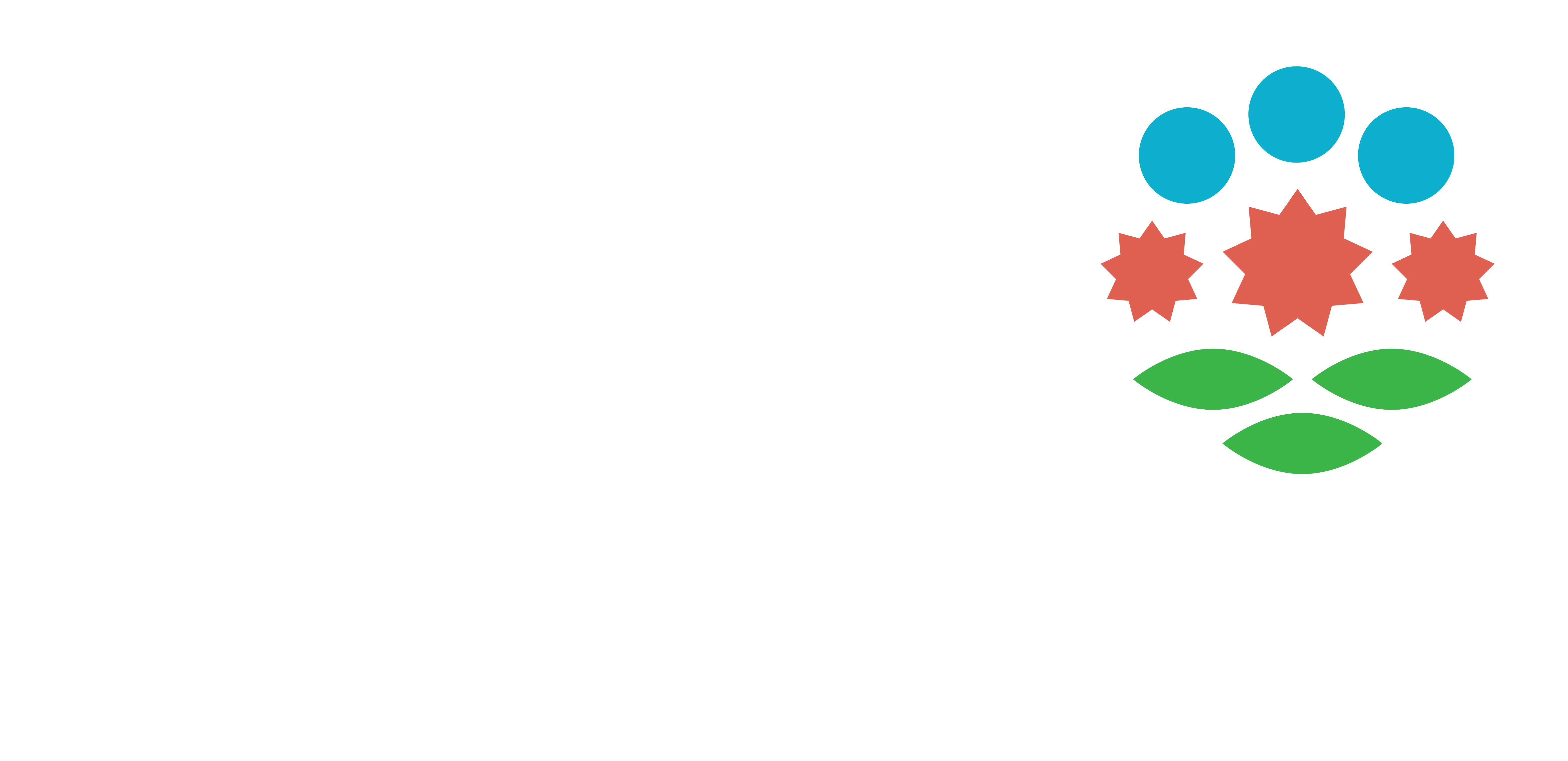 logo-tbel-white-and-color.png